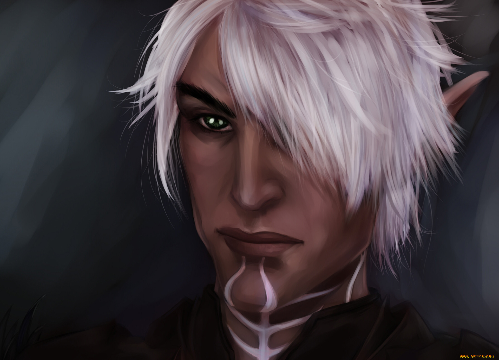  , dragon age, , , , dragon, age, fenris